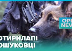 Світ українського кіно - чотирилапі рятувальники зустрінуться з шанувальниками